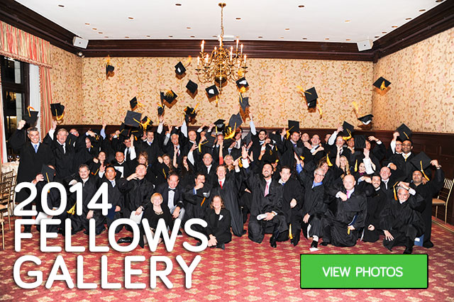 2014-FELLOWS